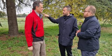 La Junta destinará 1,1 millones para restaurar 449 hectáreas afectadas por incendios forestales en la provincia de Guadalajara
