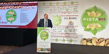 La Junta está diseñando un Plan Estratégico del Pistacho para garantizar este cultivo como alternativa de futuro