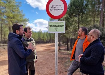 La Junta recuerda las buenas prácticas en el aprovechamiento de las setas y el límite de cinco kilos por persona y día La Junta recuerda las buenas prácticas en el aprovechamiento de las setas y el límite de cinco kilos por persona y día