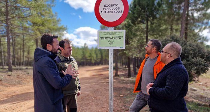 La Junta recuerda las buenas prácticas en el aprovechamiento de las setas y el límite de cinco kilos por persona y día