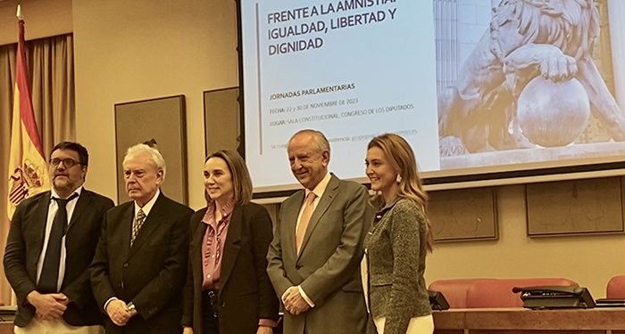 La Ley de Amnistía en el ámbito Internacional