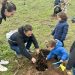 Plantación familiar de más de 400 árboles en la finca de Castillejos con el proyecto “Pequeño Bosque”