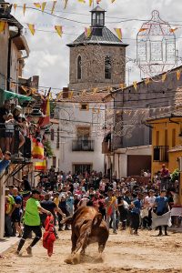 primer_premio_toroalcarria_23