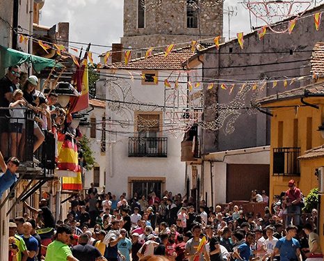 primer_premio_toroalcarria_23