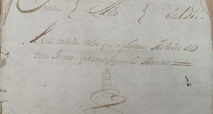 Real cédula de Felipe V.