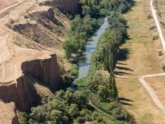 Tres talleres prácticos del Ayuntamiento de Guadalajara te invitan a conocer el medio natural de la ciudad