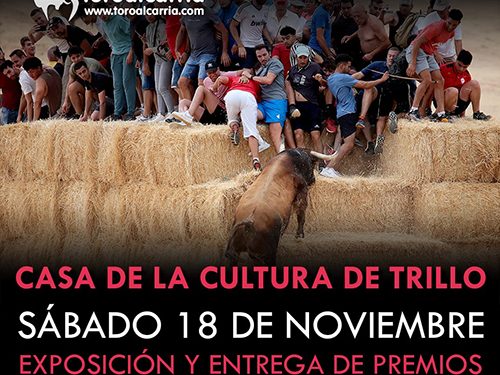 Trillo acoge este sábado la entrega de premios del XVI Concurso de Fotografía Taurina de ToroAlcarria