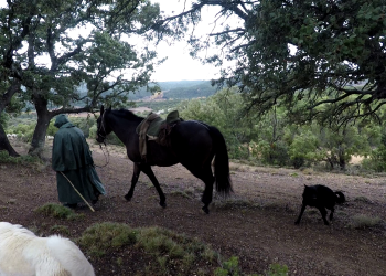 Trashumancia con los hermanos Cardo. Cuarta etapa
