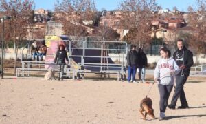 La «escuela de perretes» de Cabanillas , todo un éxito