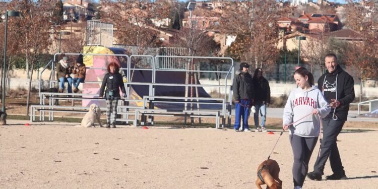 La «escuela de perretes» de Cabanillas , todo un éxito