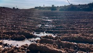 Detectan vertidos de purines en Carboneras de Guadazaón que incumplen la ordenanza aprobada por el Ayuntamiento