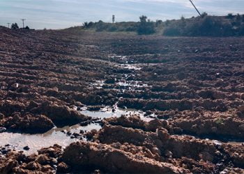 Detectan vertidos de purines en Carboneras de Guadazaón que incumplen la ordenanza aprobada por el Ayuntamiento