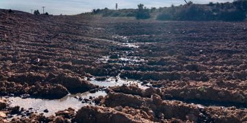 Detectan vertidos de purines en Carboneras de Guadazaón que incumplen la ordenanza aprobada por el Ayuntamiento