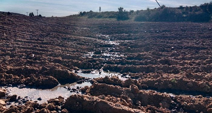 Detectan vertidos de purines en Carboneras de Guadazaón que incumplen la ordenanza aprobada por el Ayuntamiento
