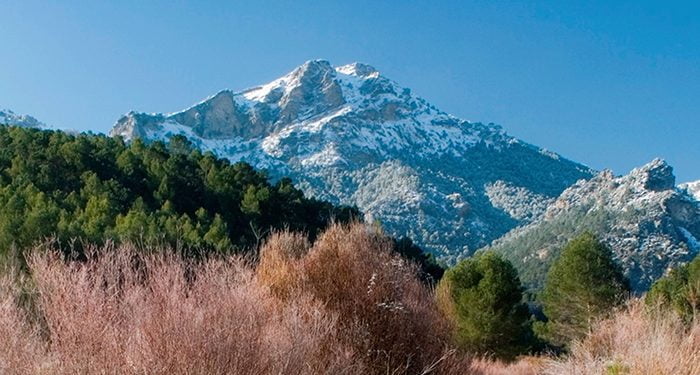 El Gobierno regional organiza diversas rutas interpretadas con motivo del Día Internacional de las Montañas 1 El Gobierno regional organiza diversas rutas interpretadas con motivo del Día Internacional de las Montañas