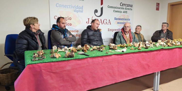 Jornada Micológica en Jábaga 1 img 20231203 wa0013