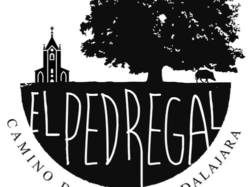 La gran carrasca de El Pedregal ilustra el nuevo sello del Camino del Cid 1 La gran carrasca de El Pedregal ilustra el nuevo sello del Camino del Cid