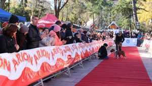 Los perros también celebran la Navidad en Guadalajara con el desfile perruno de La Camada