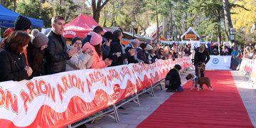 Los perros también celebran la Navidad en Guadalajara con el desfile perruno de La Camada