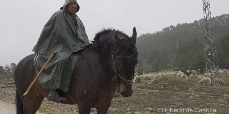 trashumancia por el parque natur 1
