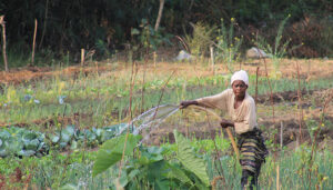 Cáritas Cuenca lanza una campaña de recogida de fondos para la adquisición de un tractor en el Congo-Brazzaville