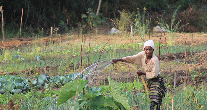 Cáritas Cuenca lanza una campaña de recogida de fondos para la adquisición de un tractor en el Congo-Brazzaville