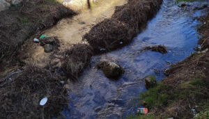 Cuenca en Marcha pide limpiar el Huécar ante su “lamentable imagen”