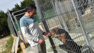 El Albergue Provincial de Animales de Cuenca duplica el número de adopciones pasando de 76 a 146 durante el año pasado