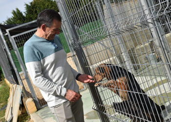 El Albergue Provincial de Animales de Cuenca duplica el número de adopciones pasando de 76 a 146 durante el año pasado