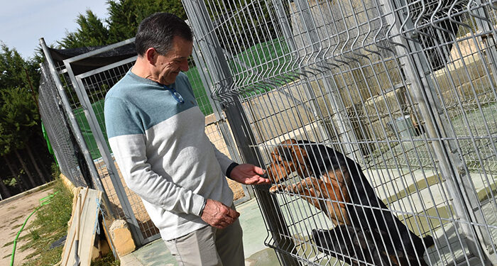 El Albergue Provincial de Animales de Cuenca duplica el número de adopciones pasando de 76 a 146 durante el año pasado 1 El Albergue Provincial de Animales de Cuenca duplica el número de adopciones pasando de 76 a 146 durante el año pasado