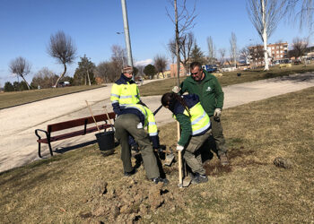 El Ayuntamiento de Cuenca inicia la licitación del nuevo contrato para el mantenimiento de parques y jardines El Ayuntamiento de Cuenca inicia la licitación del nuevo contrato para el mantenimiento de parques y jardines