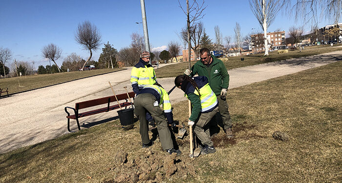 El Ayuntamiento de Cuenca inicia la licitación del nuevo contrato para el mantenimiento de parques y jardines