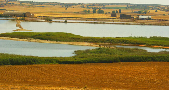 El Gobierno regional celebra el Día Mundial de los Humedales con numerosas actividades en los espacios naturales