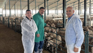 El Gobierno regional ha reforzado en 2023 el trabajo de las Agrupaciones de Defensa Sanitaria Ganadera con 1,5 millones de euros