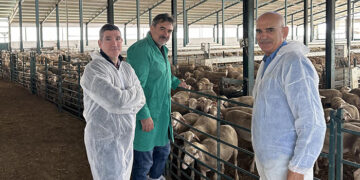 El Gobierno regional ha reforzado en 2023 el trabajo de las Agrupaciones de Defensa Sanitaria Ganadera con 1,5 millones de euros