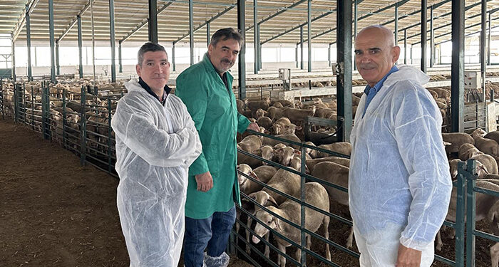 El Gobierno regional ha reforzado en 2023 el trabajo de las Agrupaciones de Defensa Sanitaria Ganadera con 1,5 millones de euros