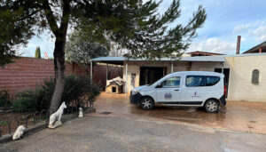 El servicio 24 horas de recogida de animales perdidos y abandonados de Hogar Amigo realizó 101 intervenciones en 2023