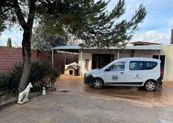 El servicio 24 horas de recogida de animales perdidos y abandonados de Hogar Amigo realizó 101 intervenciones en 2023