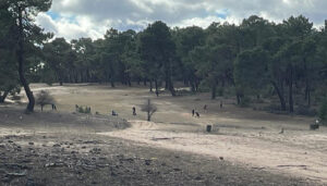 Éxito de participación en el Torneo de Golf de Navidad del Ayuntamiento de Cuenca