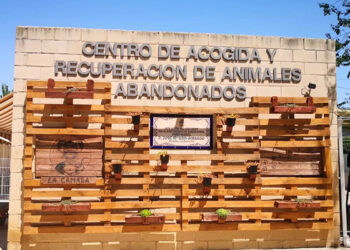 “La Camada” única oferta presentada para la gestión del Centro Municipal de Acogida de Animales abandonados en Guadalajara 4 “La Camada” única oferta presentada para la gestión del Centro Municipal de Acogida de Animales abandonados