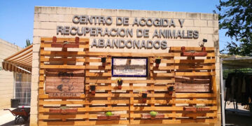 “La Camada” única oferta presentada para la gestión del Centro Municipal de Acogida de Animales abandonados en Guadalajara