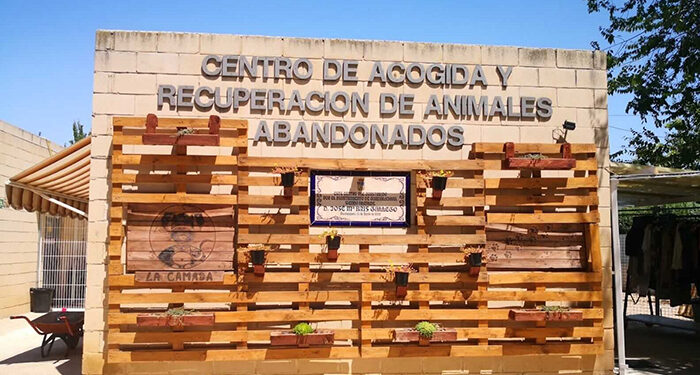 “La Camada” única oferta presentada para la gestión del Centro Municipal de Acogida de Animales abandonados en Guadalajara 1 “La Camada” única oferta presentada para la gestión del Centro Municipal de Acogida de Animales abandonados