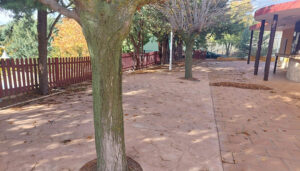 La Junta colabora con el Ayuntamiento de Priego en mejorar la piscina municipal