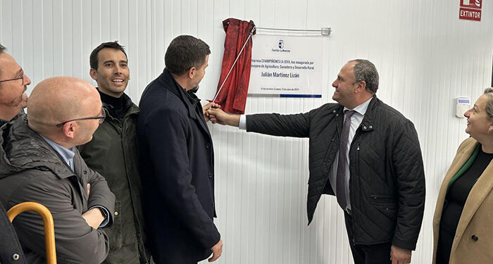 La Junta trabaja con el sector para conseguir la figura de calidad de los Hongos de La Manchuela 1 La Junta trabaja con el sector para conseguir la figura de calidad de los Hongos de La Manchuela