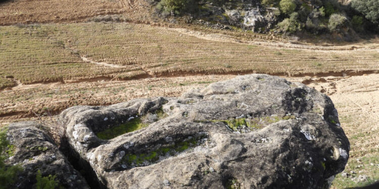 Éxito de la III Sarzola del Záncara en Abia de la Obispalia