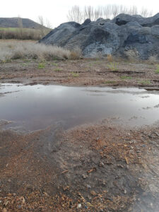 Preocupación en el Alto Tajo de Guadalajara por toneladas de cenizas a pocos metros del río Gallo