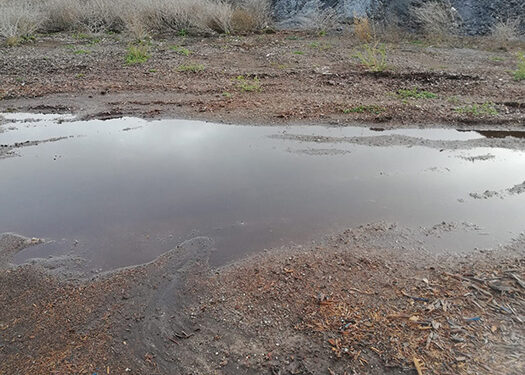 Preocupación en el Alto Tajo de Guadalajara por toneladas de cenizas a pocos metros del río Gallo 1 Preocupación en el Alto Tajo de Guadalajara por toneladas de cenizas a pocos metros del río Gallo