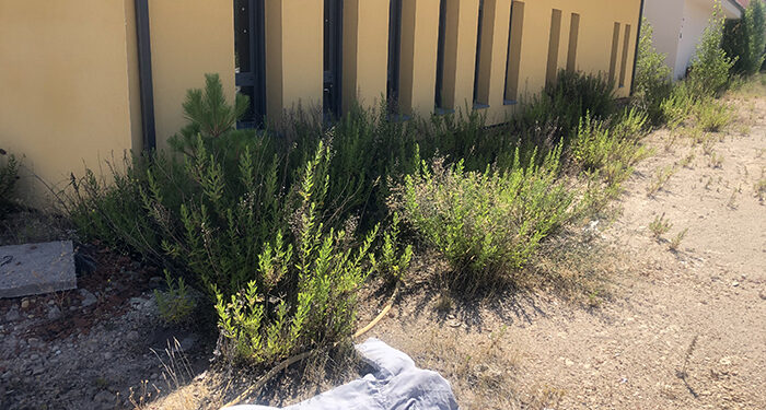 Solana “lo primero que hizo Chana como presidente de la Diputación fue suprimir un millón de euros para la Residencia de Beteta”