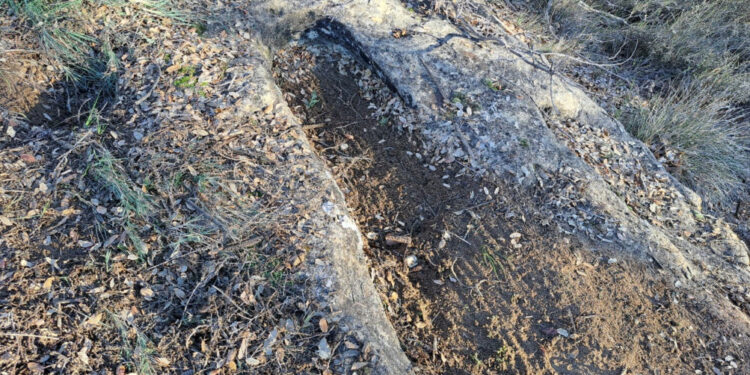 Éxito de la III Sarzola del Záncara en Abia de la Obispalia