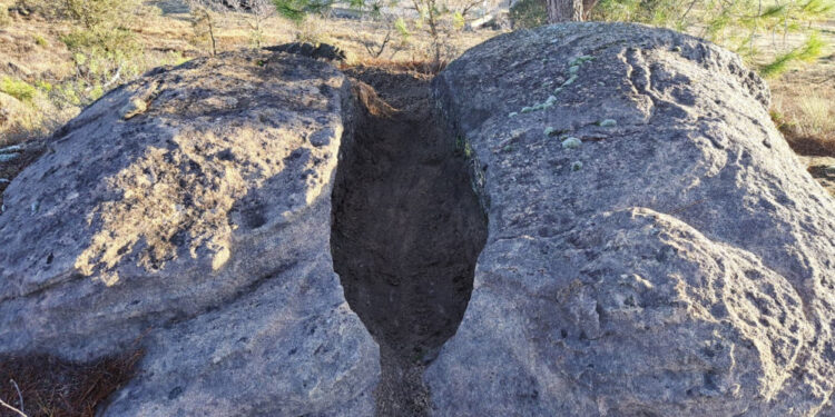 Éxito de la III Sarzola del Záncara en Abia de la Obispalia